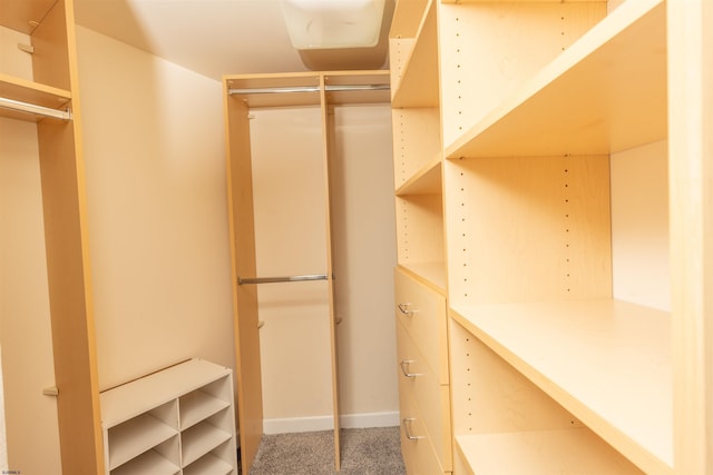 spacious closet featuring carpet