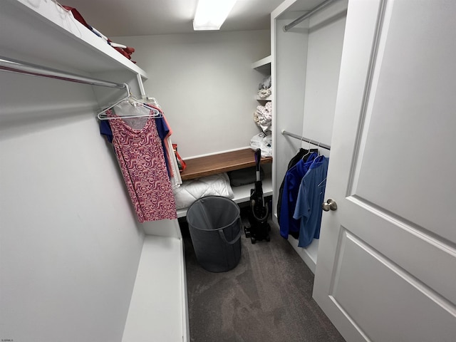 walk in closet with dark colored carpet