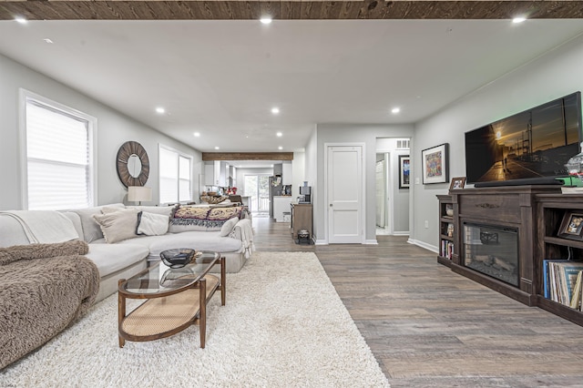 living room featuring wood-type flooring