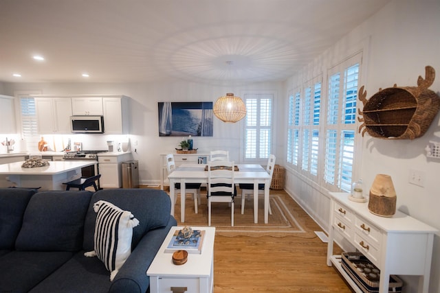 living room with light hardwood / wood-style flooring