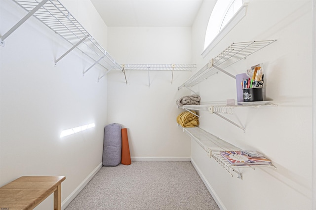 walk in closet featuring carpet