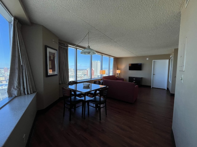 dining room with dark hardwood / wood-style floors and a textured ceiling