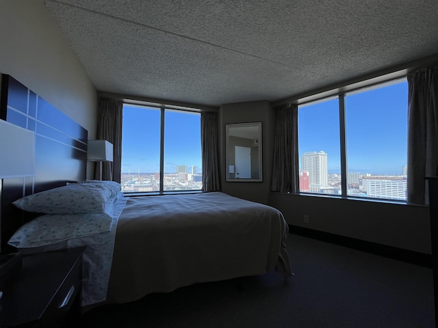 bedroom with multiple windows and a textured ceiling