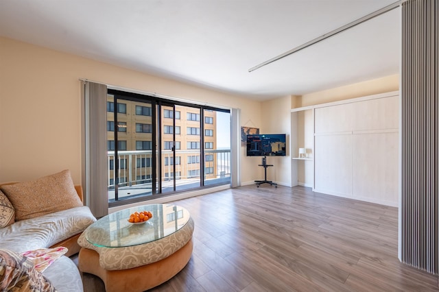 living room featuring light hardwood / wood-style floors