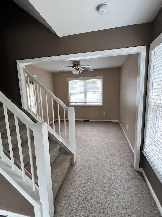 staircase featuring ceiling fan and carpet floors