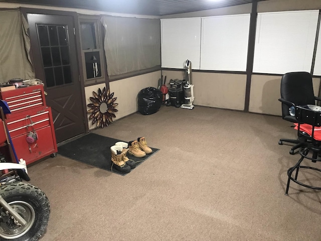 basement featuring carpet