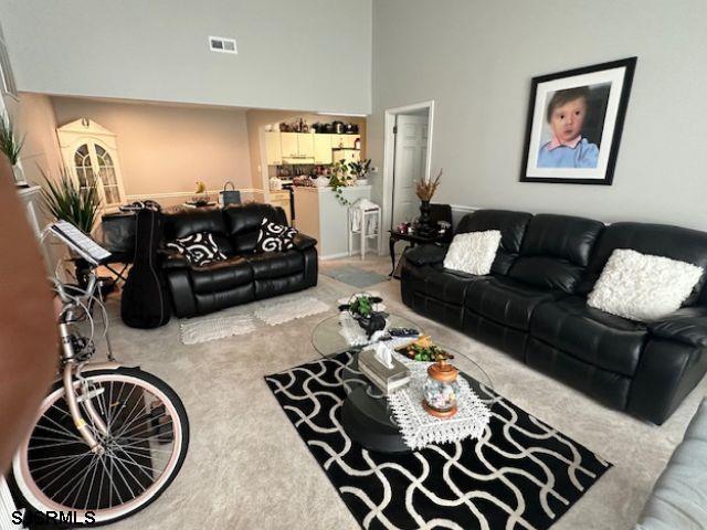 living room with a towering ceiling and carpet floors