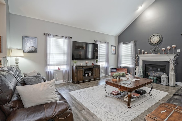 living room featuring wood-type flooring and high vaulted ceiling