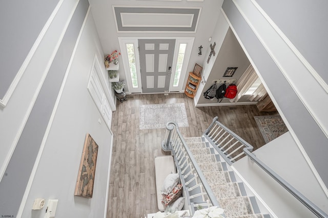 entrance foyer with wood-type flooring