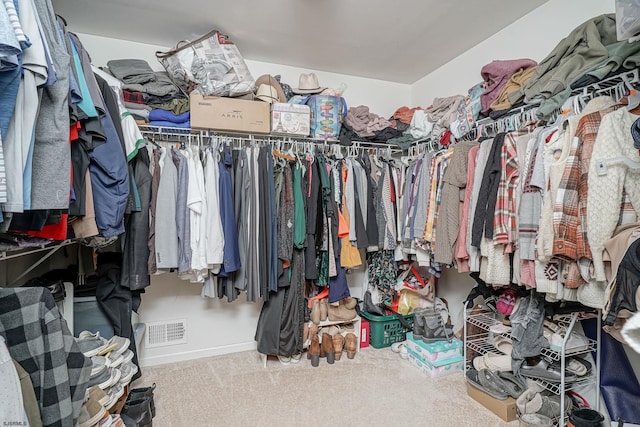 walk in closet featuring carpet floors