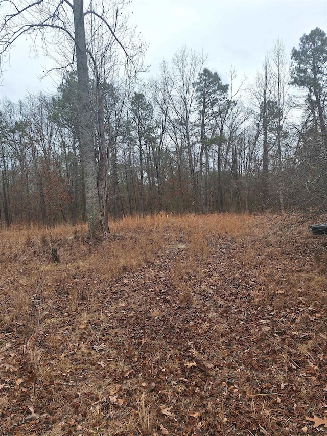 view of local wilderness