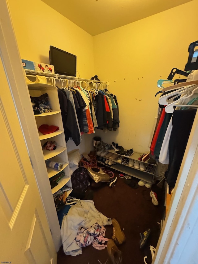 view of spacious closet