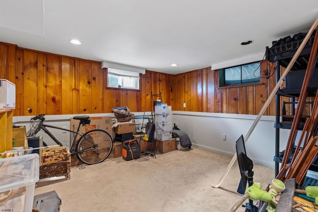 interior space with wood walls and carpet