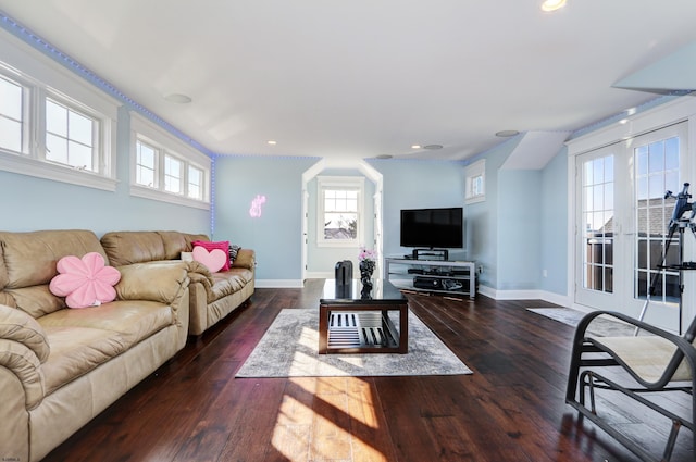 living room with dark hardwood / wood-style floors