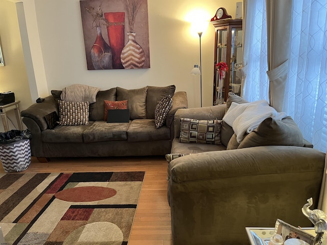 living room featuring wood-type flooring