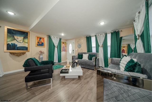 living room with hardwood / wood-style floors