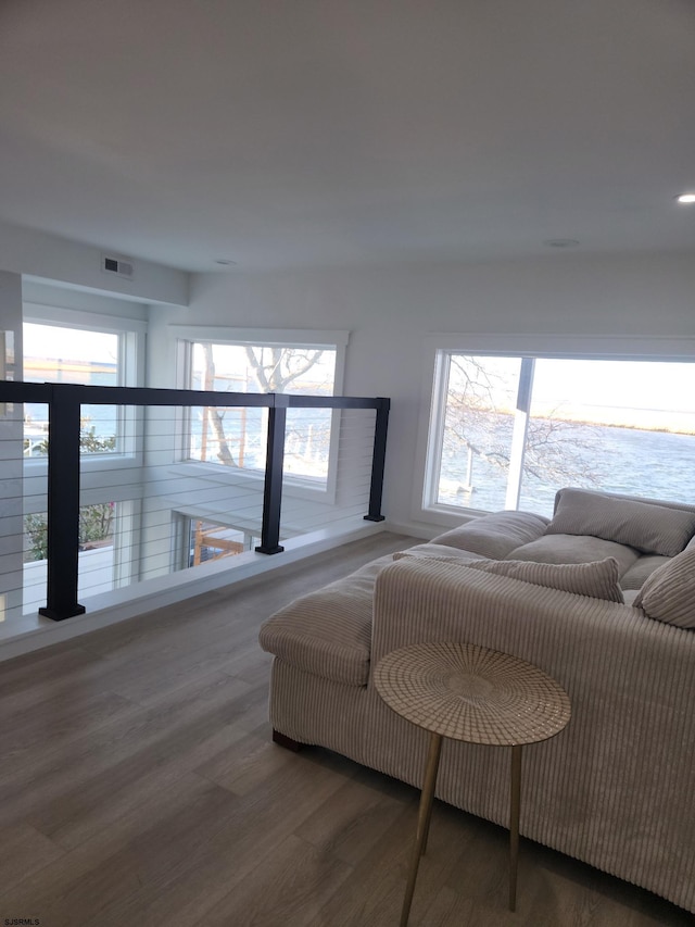 bedroom featuring multiple windows and dark wood-type flooring