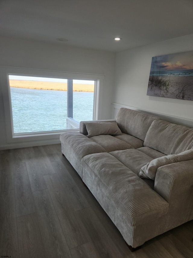 living room featuring dark hardwood / wood-style flooring and a water view