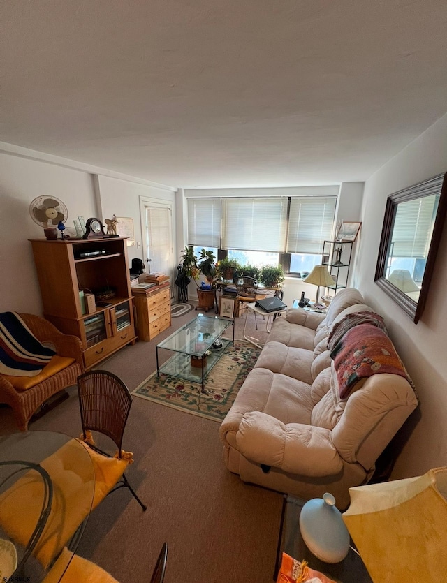 living room featuring carpet flooring