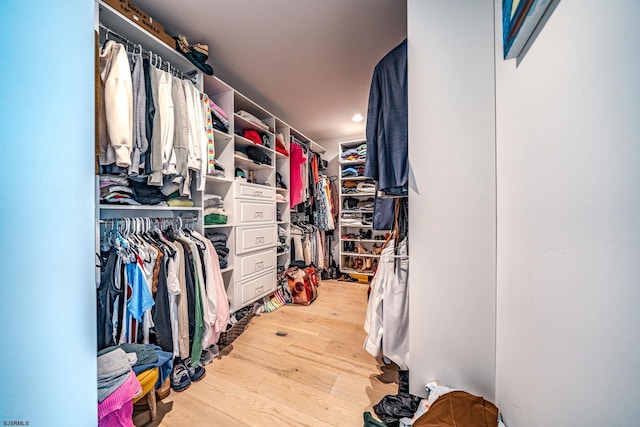 spacious closet with light wood-type flooring