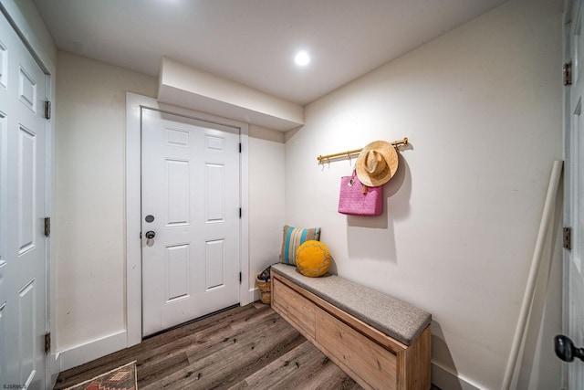 mudroom featuring dark hardwood / wood-style flooring