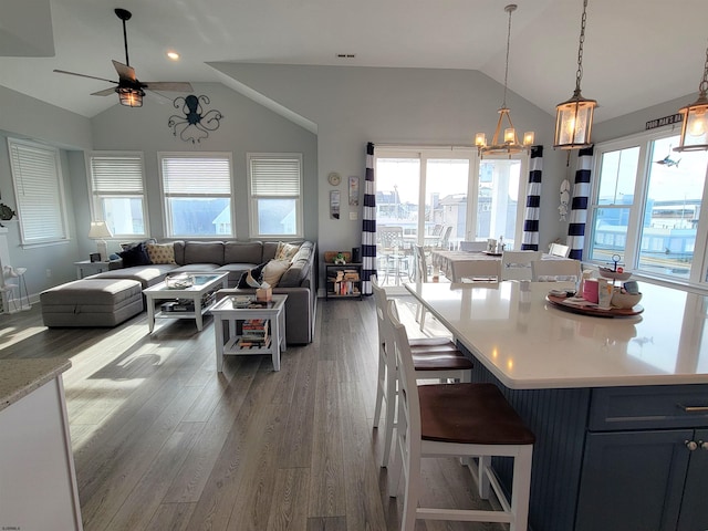 kitchen featuring open floor plan, wood finished floors, lofted ceiling, and a healthy amount of sunlight