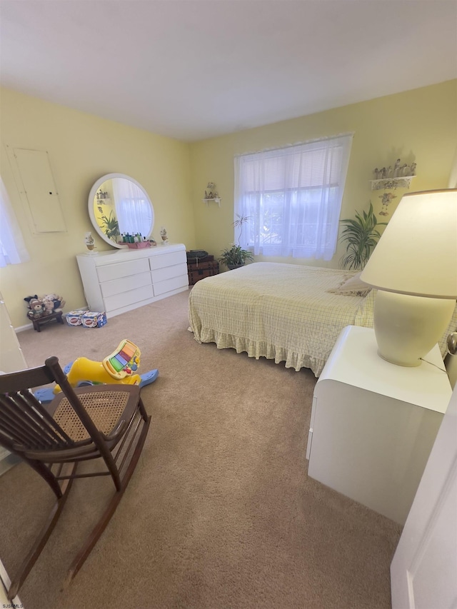 bedroom with carpet floors