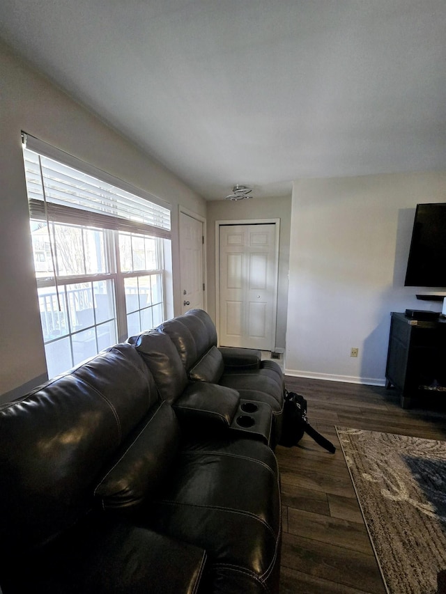 living room with dark hardwood / wood-style floors