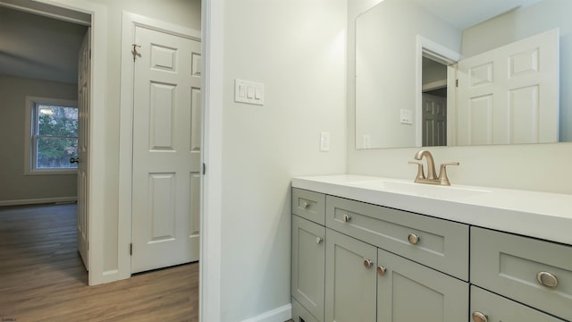 bathroom featuring vanity and wood-type flooring