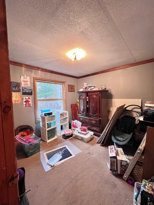 recreation room featuring crown molding, a textured ceiling, and carpet