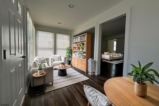 living area featuring a healthy amount of sunlight and dark wood-type flooring