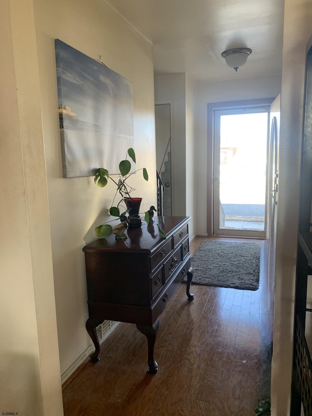 entryway featuring dark wood-type flooring