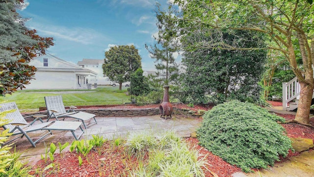 view of yard with a patio area