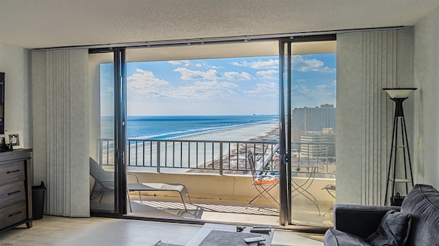 interior space featuring plenty of natural light, light hardwood / wood-style floors, a beach view, and a water view