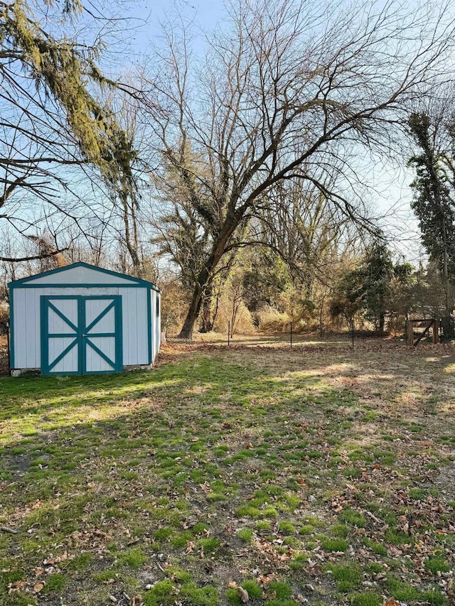 view of yard with a storage unit