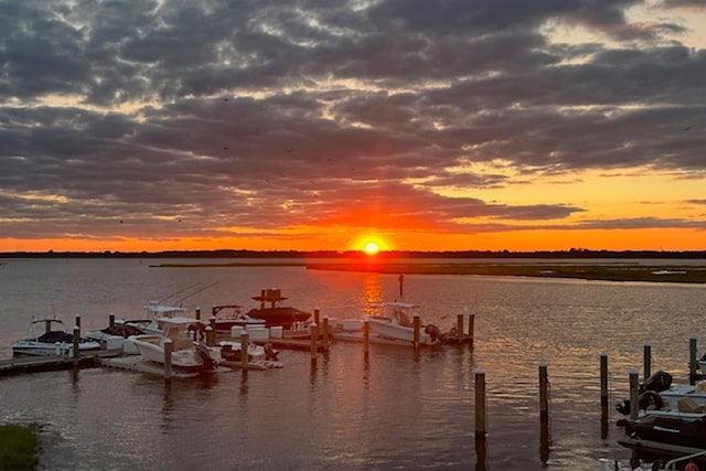 water view featuring a boat dock