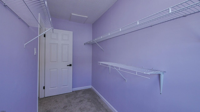 walk in closet featuring carpet flooring