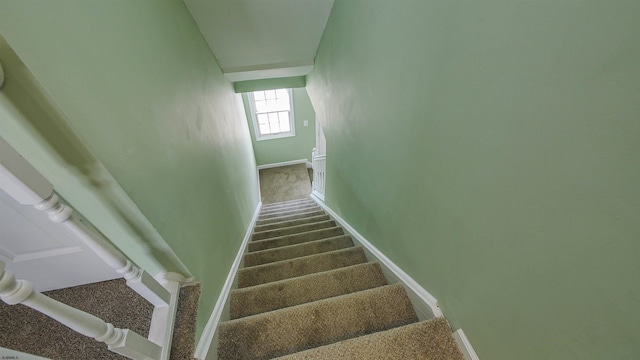 stairway featuring carpet flooring