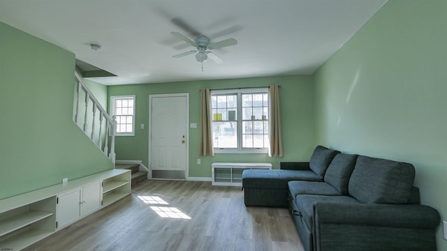 living room with ceiling fan and light hardwood / wood-style flooring