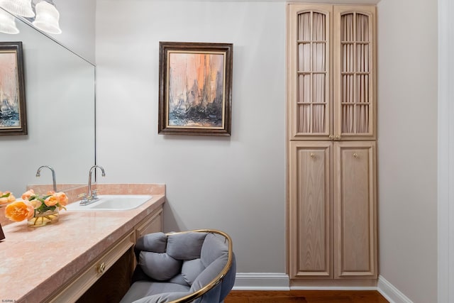 bathroom featuring hardwood / wood-style flooring and vanity