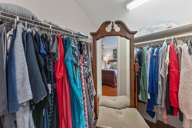 walk in closet featuring vaulted ceiling