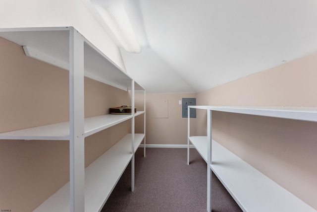 storage with electric panel