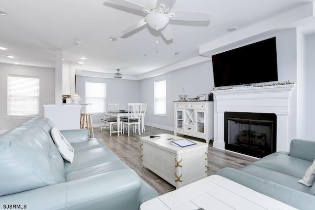 living room with ceiling fan and light wood-type flooring