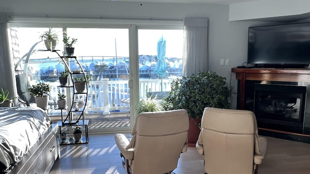 living room featuring light hardwood / wood-style floors