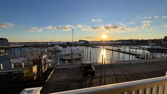 dock area with a water view