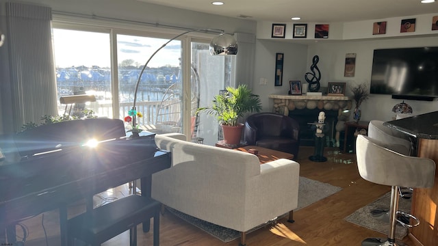 living room with hardwood / wood-style flooring