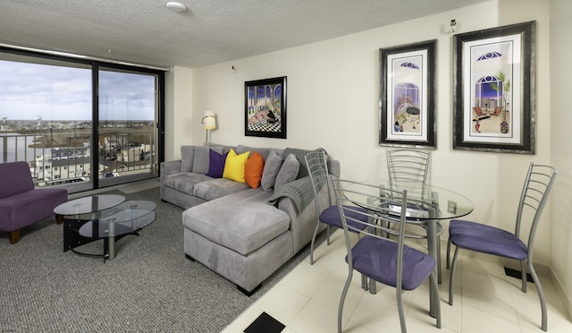 living room featuring a wall of windows and a textured ceiling