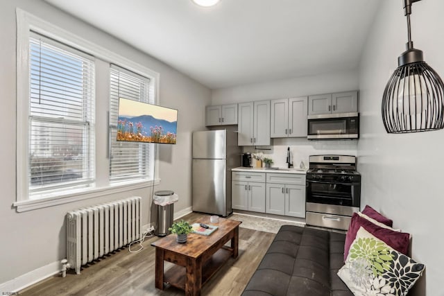 kitchen featuring stainless steel appliances, radiator, sink, and wood-type flooring