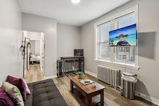 living room with radiator heating unit and light hardwood / wood-style floors