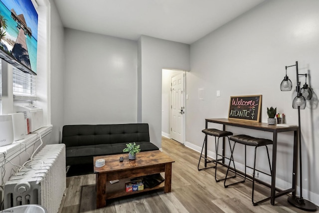 living room with light hardwood / wood-style flooring and radiator heating unit